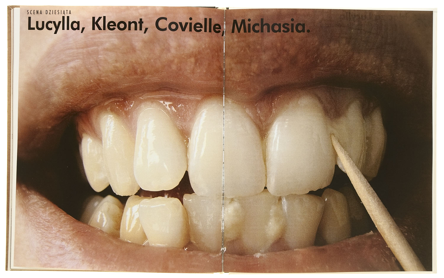 Mieszczanin szlachcicem